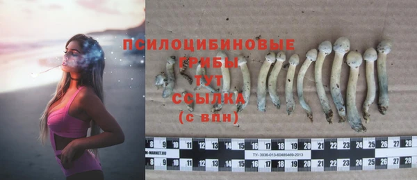 спайс Богородицк