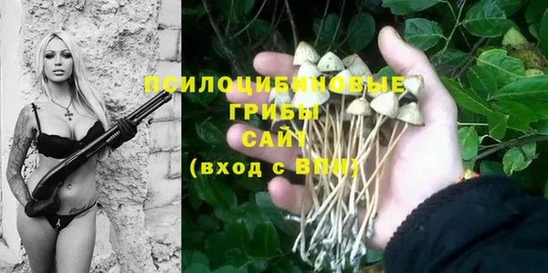 бошки Богданович