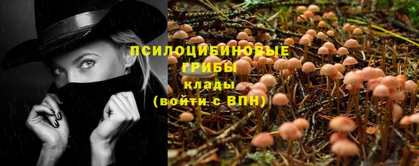 MDMA Богородск