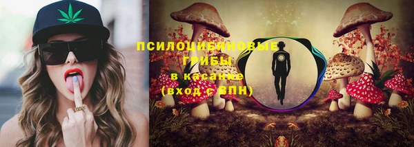 spice Сатка