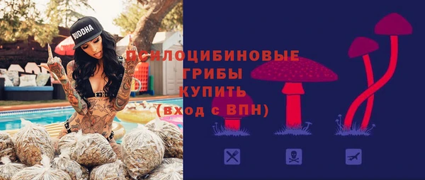 спайс Богородицк