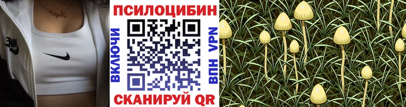 Галлюциногенные грибы ЛСД  Юрга 